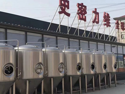 上蔡精酿啤酒设备厂—市场规模与跨界新需求